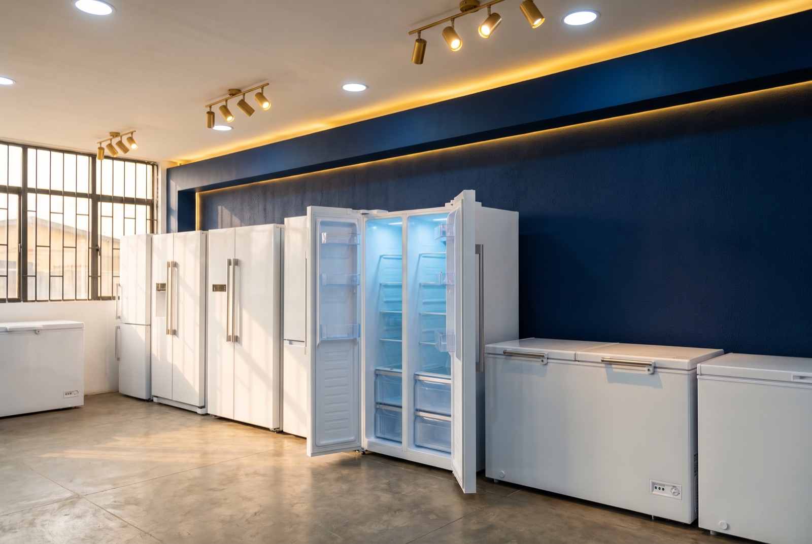 A row of Firman fridges and chest freezers in the Estendo appliance showroom